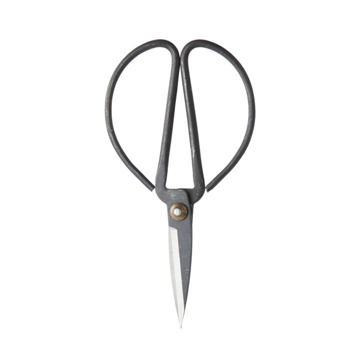 BIND Schere L, Schwarz