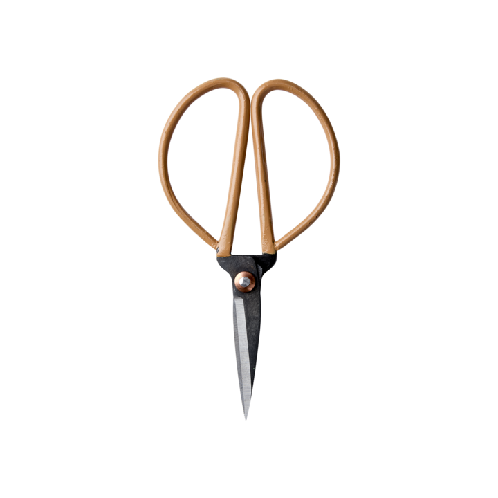 BIND Scissor S, Apricot