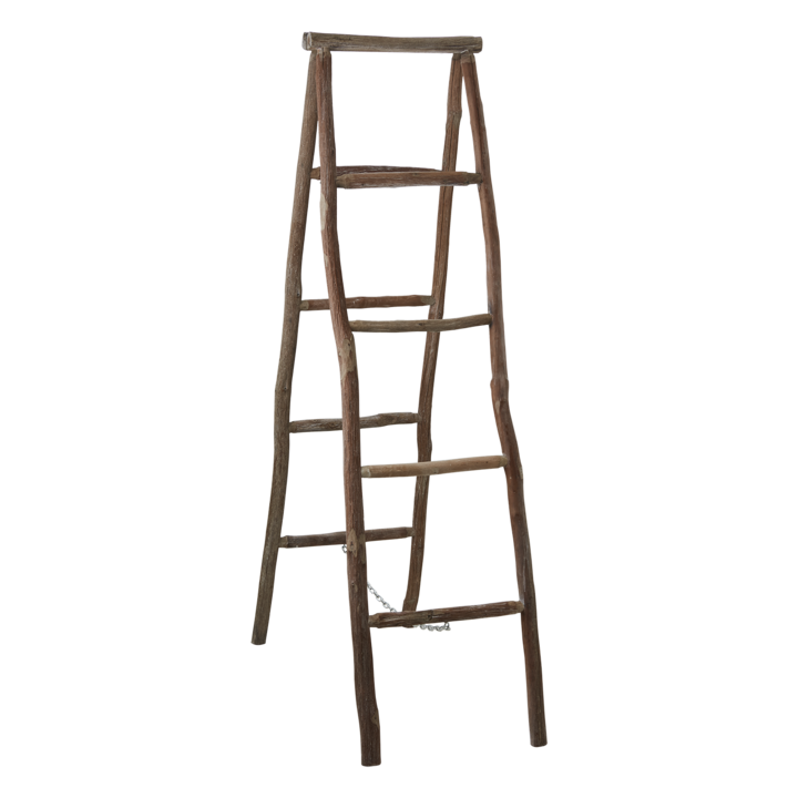 LIDO Ladder, Natural