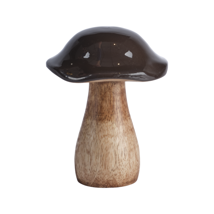 TIM Decoration mushroom, Brown/natural