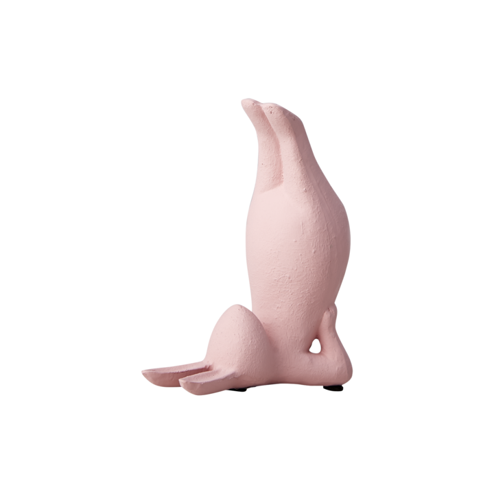 YOGA Lapin, Rose