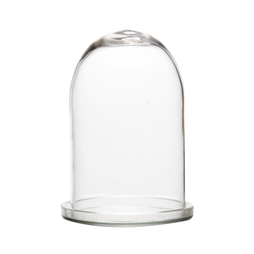 BELLA Bell jar with tray M, Clear