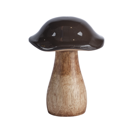 TIM Decoration mushroom, Brown/natural