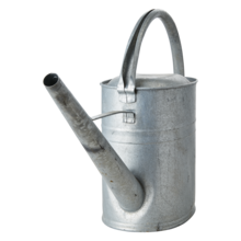 TREASURE Watering can, Grey