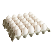 EGG CANDLES Ei mit Eigelb, Weiß