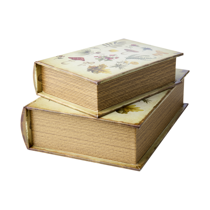 BROOKE Box, set of 2, Natural/multi colour