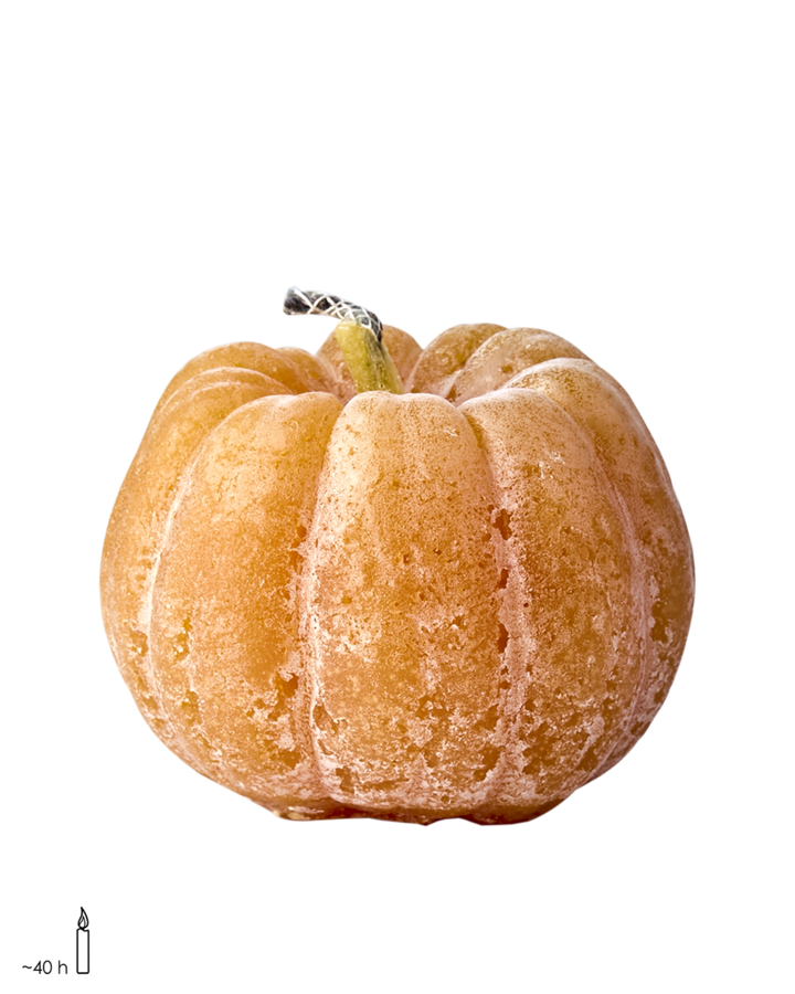 EVENT Uteljus pumpa, Ocra