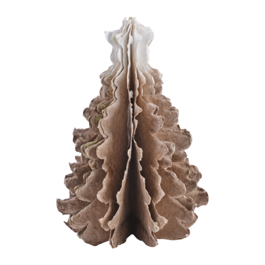UNI Christmas tree, Brown