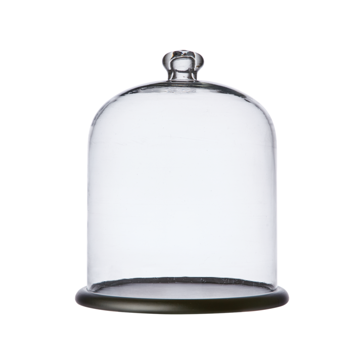 BELLA Bell jar with tray L, Clear/black