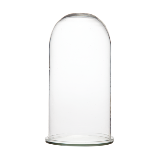 BELLA Bell jar with tray L, Clear